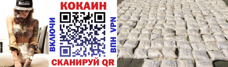 дарнет шоп  Орск  COCAIN Fish Scale 