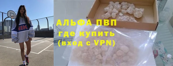 прущие грибы Майский