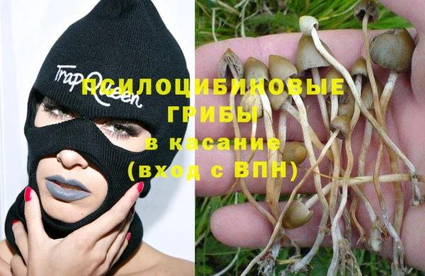 прущие грибы Майский