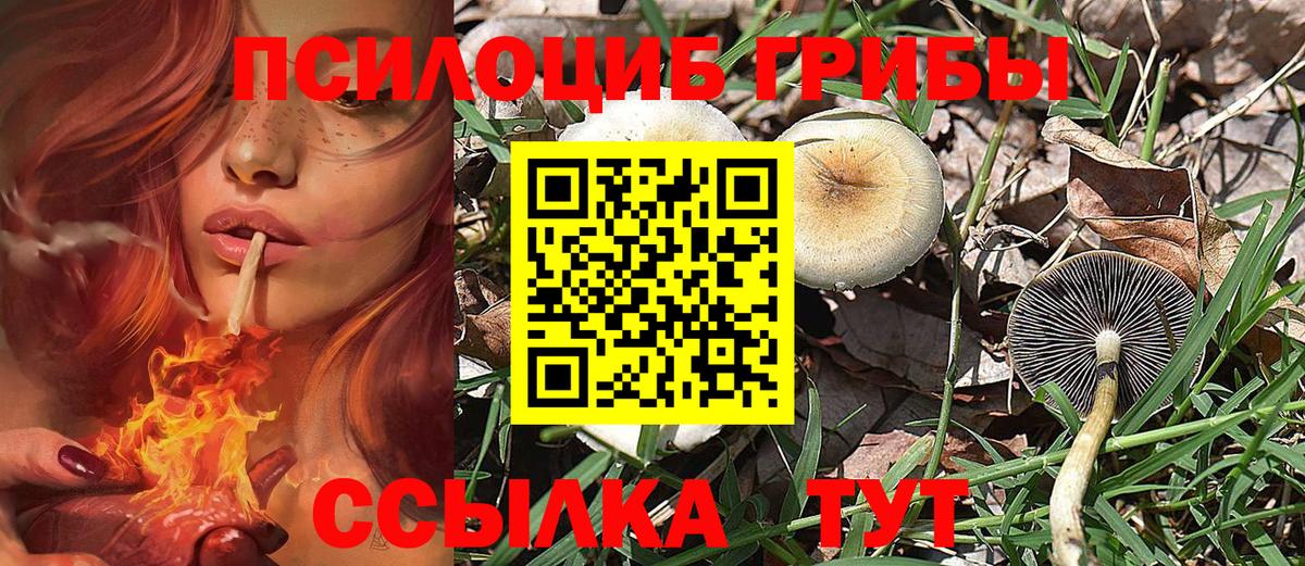 Галлюциногенные грибы GOLDEN TEACHER  Вход с VPN  Орск 