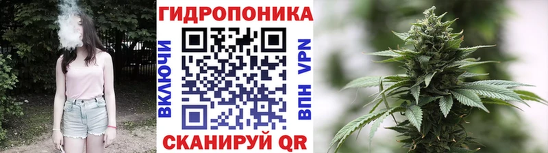 наркота  Орск  Шишки марихуана тримм 